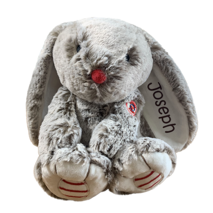 Personalised Bunny and FREE Wooden Heart