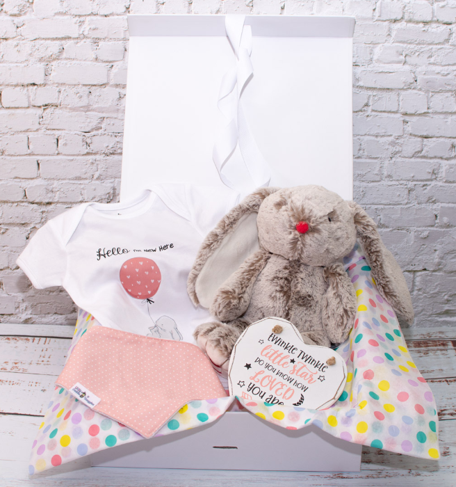 New Baby Bunny Gift Box
