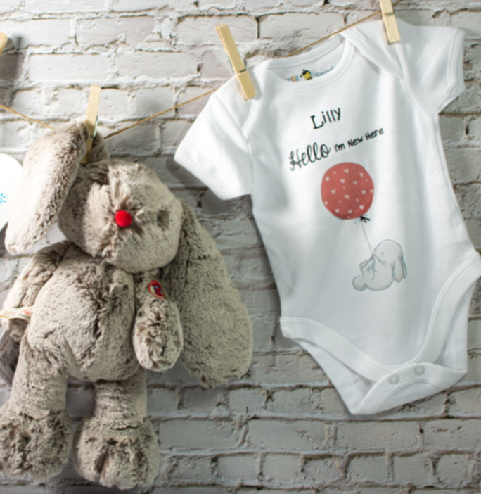 New Baby Bunny Gift Box